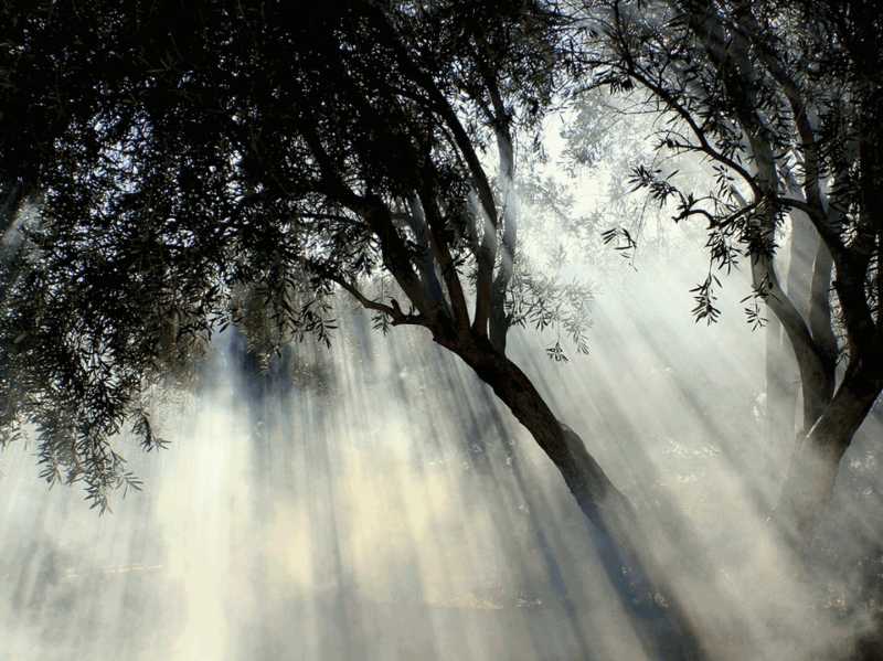 El arte de la&nbsp;conexión