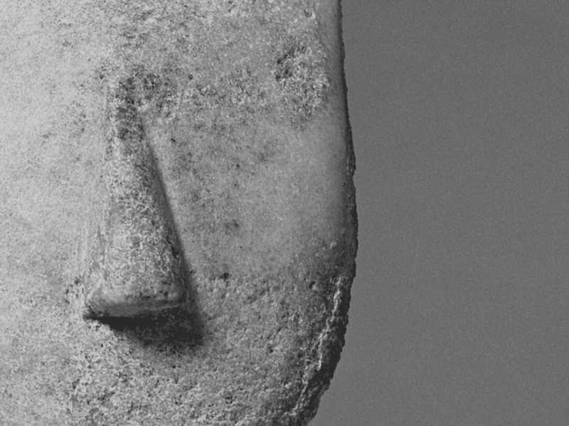 Triunfo del trabajo en&nbsp;equipo