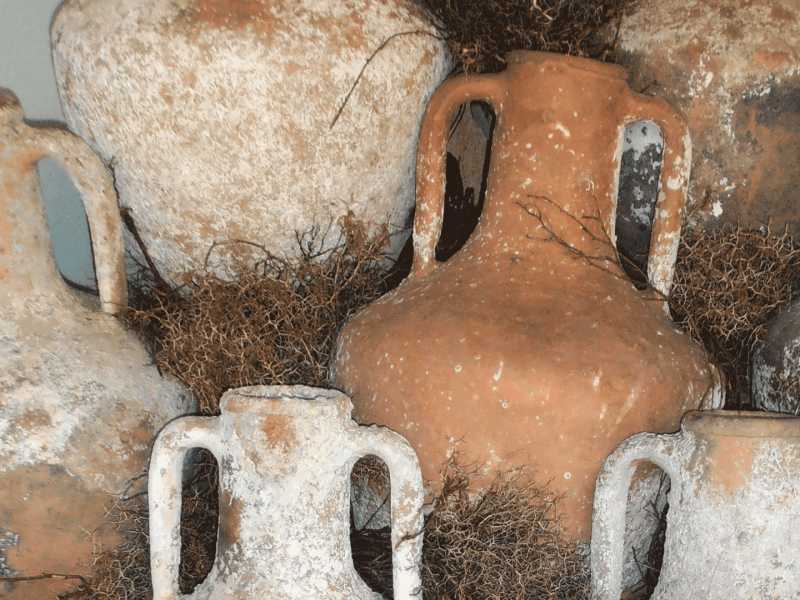 Crecimiento desbloqueado